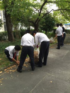 ボランティア部：秋空の下で