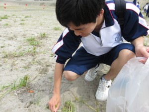 根こそぎ除草しました。