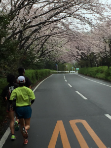 駅伝競走部：練習風景